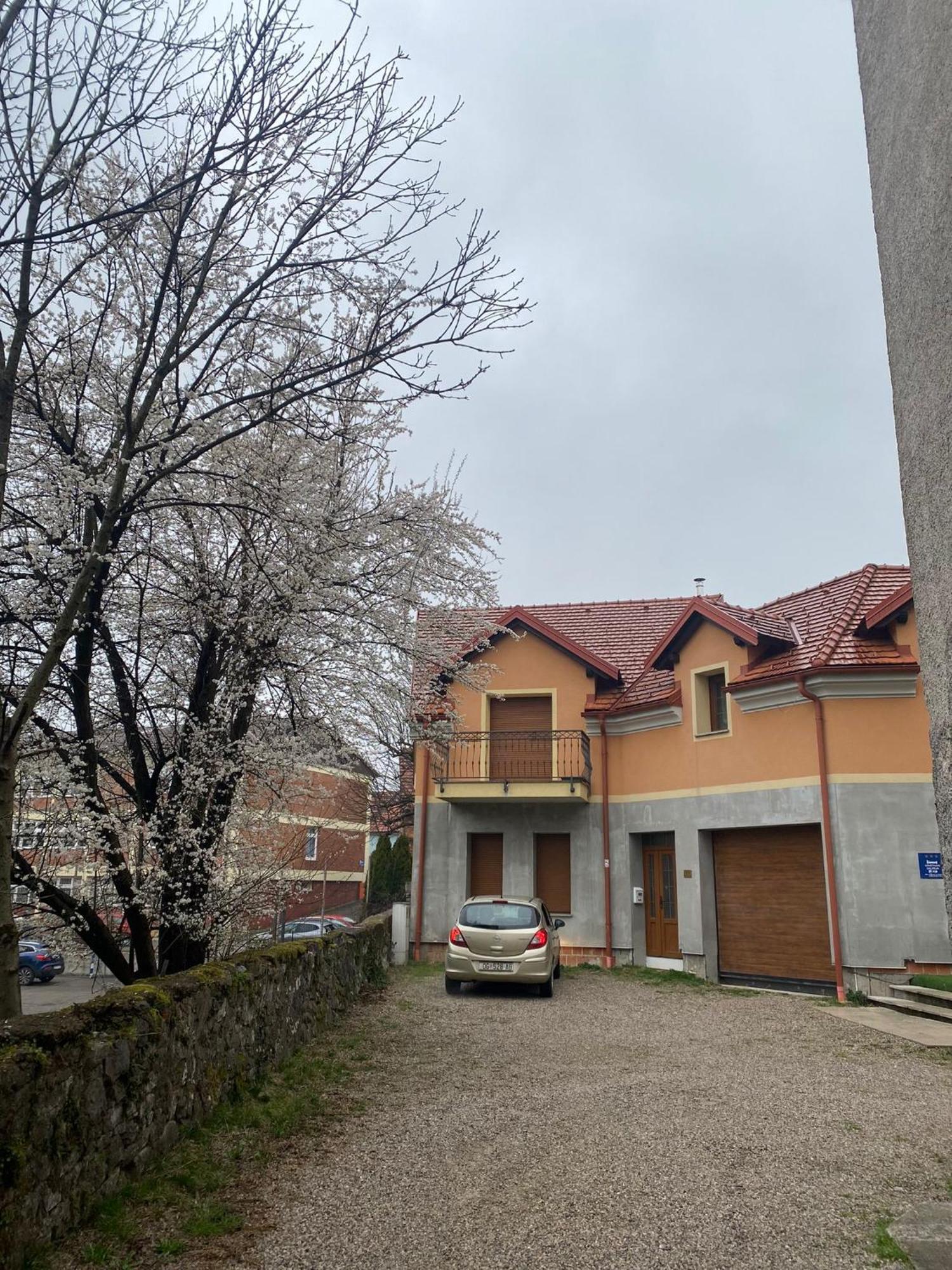 Apartman Galerija 奥古林 外观 照片