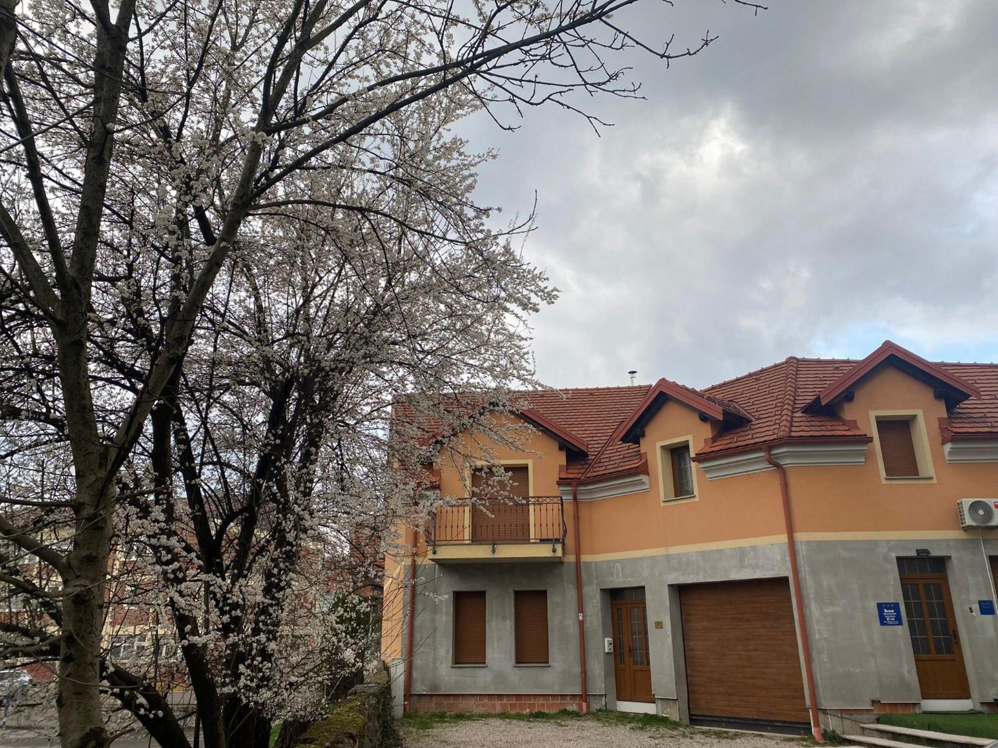 Apartman Galerija 奥古林 外观 照片